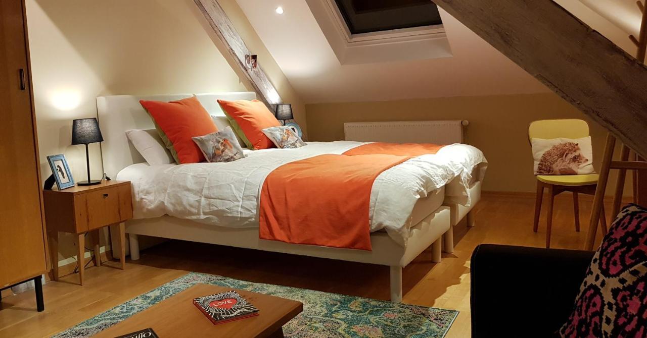 La Chouette Maison - Chambres D'Hotes Et Gite En Ville Remiremont Luaran gambar